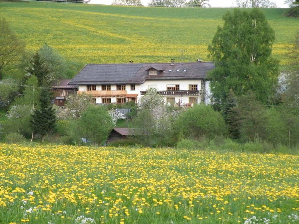 Pension Landhaus Riedelstein Drachselsried Eksteriør bilde